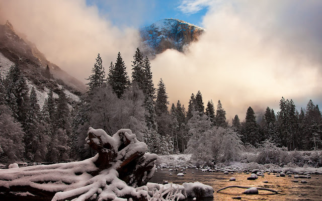 Parque Nacional de Yosemite