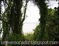 Rio San Pedro 38