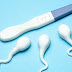 Do you know how long an ovulation lasts?