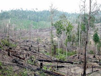 kerusakan_hutan