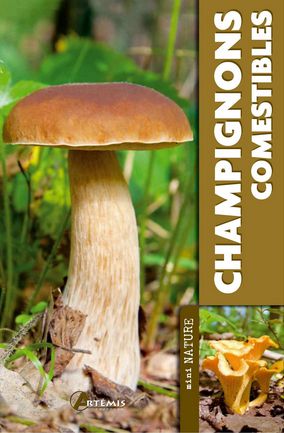 Champignons comestibles