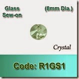 R1GS1 copy