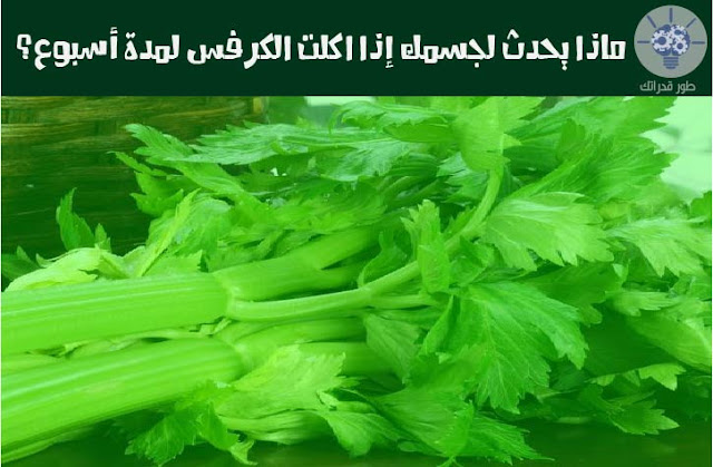 ماذا يحدث لجسمك إذا اكلت الكرفس لمدة أسبوع؟ 