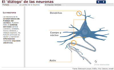 https://estaticos.elmundo.es/elmundosalud/documentos/2006/04/neuronas.swf