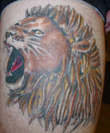 lion tattoo design. lion tattoo design. lion