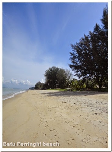 DSC00817 (600x800) (2)