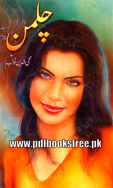 Chilman Full Urdu Novel.