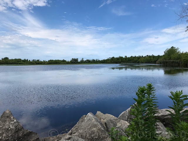 island point pelee