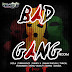 BAD GANG RIDDIM CD (2013)