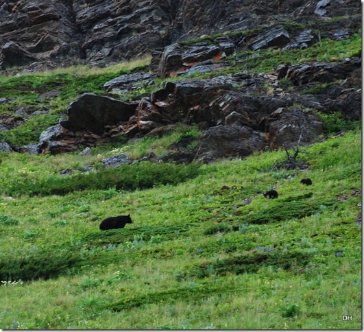 06-24-13 A Waterton National Park (123)a