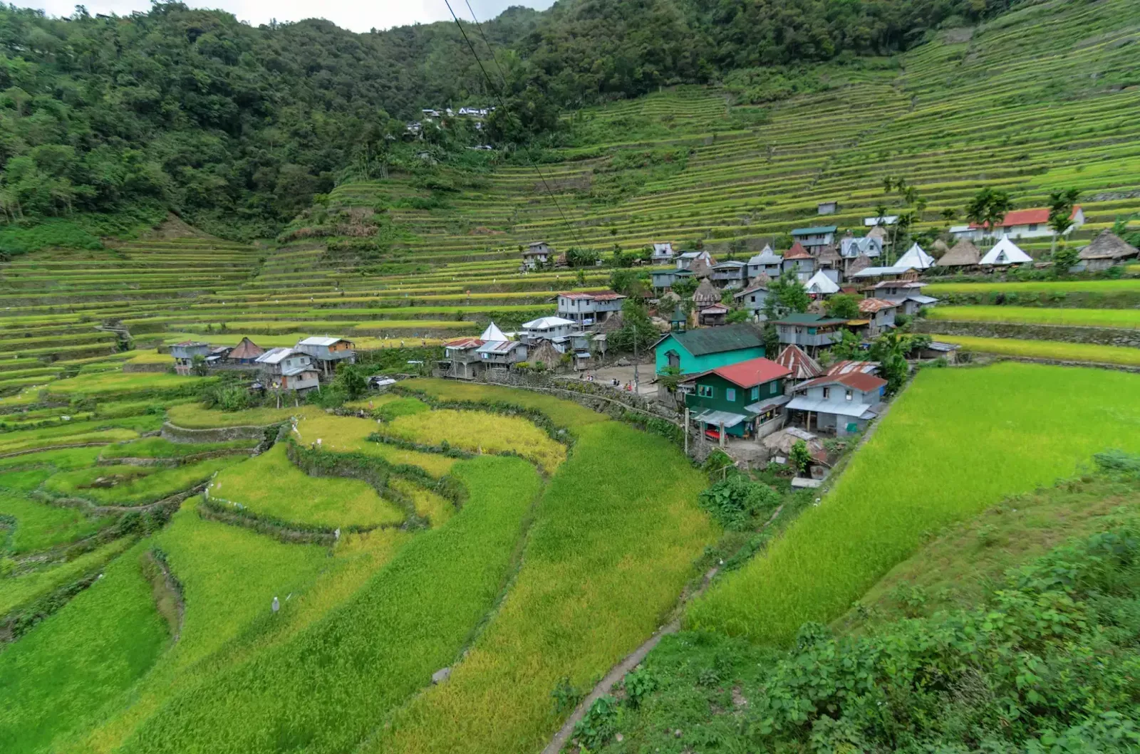 Community Home Cluster Batad Rice Terraces Ifugao Cordillera Administrative Region Philippines 