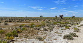 Etosha