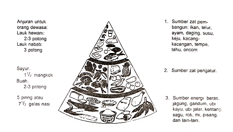 Setitik Cahaya Pedoman Umum Gizi Seimbang PUGS 