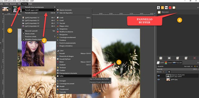 pannello buffer in gimp