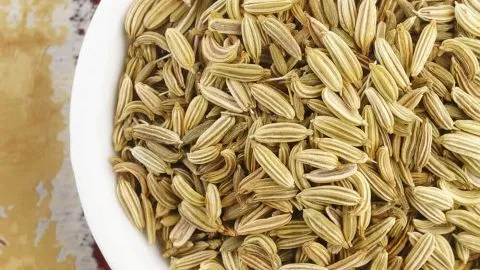 fennel seeds for breast milk