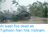 http://sciencythoughts.blogspot.co.uk/2013/10/at-least-five-dead-as-typhoon-nari-hits.html