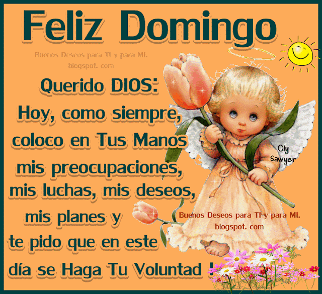  Querido DIOS: Hoy, como siempre, coloco en Tus Manos mis preocupaciones, mis luchas, mis planes y te pido que en este día se Haga tu Voluntad!  FELIZ DOMINGO !