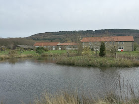 back of ox pasture hall hotel