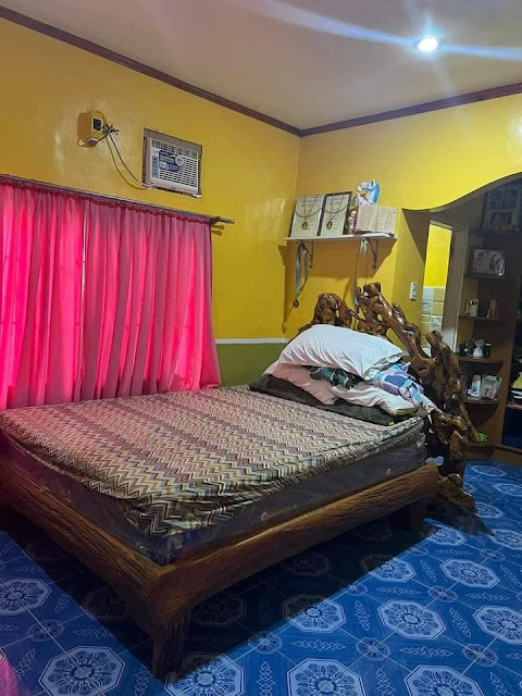 House and Lot For Sale Fully Furnished in Tabogon, Cebu
