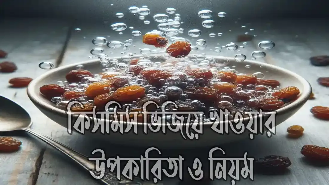 কিসমিস-ভিজিয়ে-খাওয়ার-উপকারিতা-ও-অপকারিতা