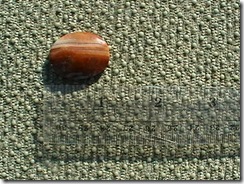 IMGA0752