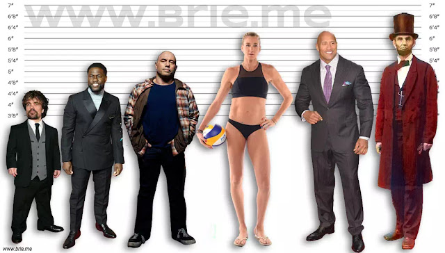 Peter Dinklage, Kevin Hart, Joe Rogan, Kerri Walsh Jennings, The Rock, and Abraham Lincoln height comparison