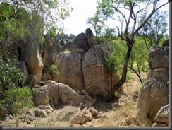 170529 013 Fitzroy Crossing Geikie Gorge NP