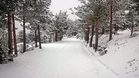 Ruta de Cercedilla a Madrid por el valle del Lozoya ¡con nieve! - sábado 31 de enero 2015. Nuestro 'gran reto' de enero