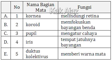 Hubungan antara nomor, bagian mata, dan fungsinya, tabel soal Biologi SMA UN 2017