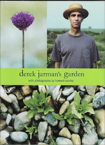 derek jarman’s garden with photographs by howard sooley