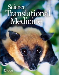 A publication cover with a photo of a bat. The publication is entitled Science Translational Medicine