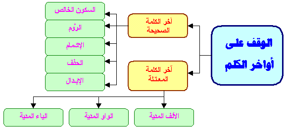 Hamzah Wasol dan Waqaf