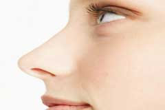 Manfaat dan kegunaan hidung, bagaimana cara melihat wanita yang masih perawan