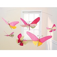bright butterfly