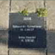 Album weergeven