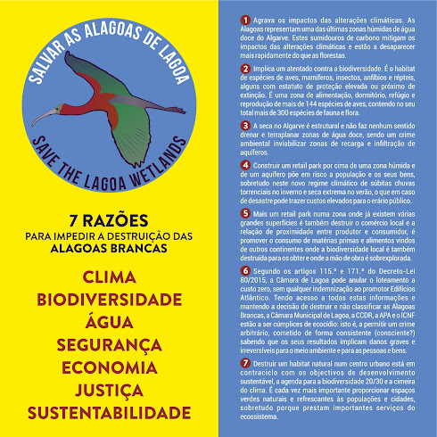 7 Razões para impedir a destruição das Alagoas Brancas