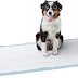 Dog and Puppy Potty Training Pads