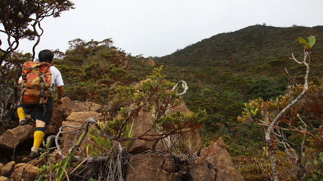 gunung tambuyukon