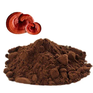 Ganoderma mushroom extract powder