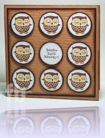 sc235-hoot-wm