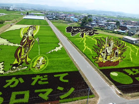 Seni Sawah padi - Hal Unik di Jepang