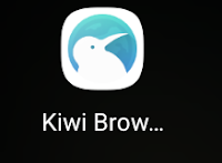 Kiwi browser logo