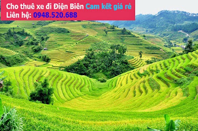 Cho thuê xe du lịch giá rẻ