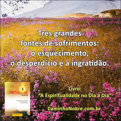 Três grandes fontes de sofrimentos: o esquecimento, o desperdício e a ingratidão. Livro: “A Espiritualidade no Dia a Dia”