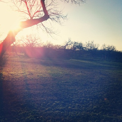 ranch