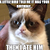 Grumpy Cat Memes Your Daily Source Of Grumpiness