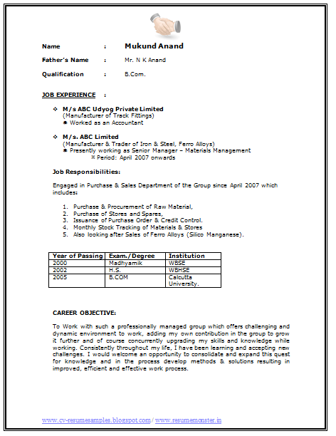 Over 10000 CV and Resume Samples with Free Download: Resume Examples ...