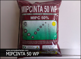 MIPCINTA 50 WP Insektisida bahan aktif MIPC