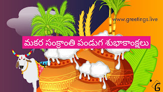 Telugu Vari Pedda Panduga Sankranti Festival HD 2018 Wishes 