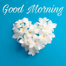 Good Morning All Wishs. 